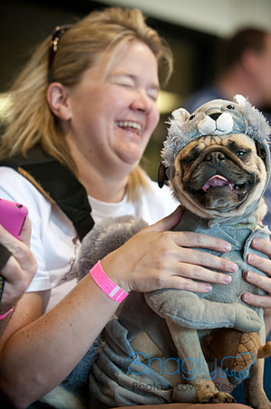 PugOWeen-3556