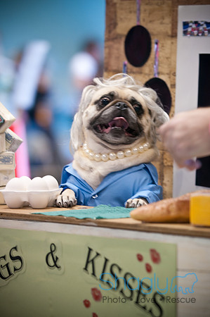 PugOWeen-3239