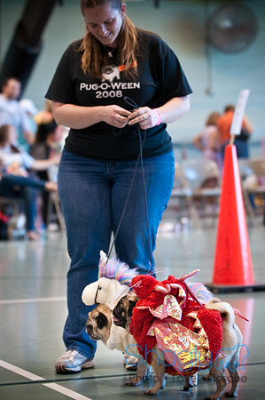 PugOWeen-3508