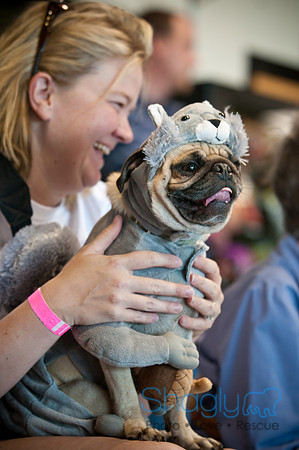 PugOWeen-3557