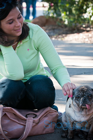 PugOWeen-3810