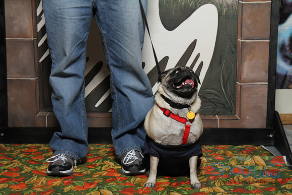 PugOWeen The Photobooth-2