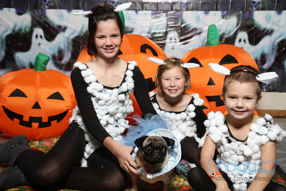 PugOWeen The Photobooth-17