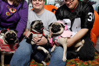 PugOWeen The Photobooth-4