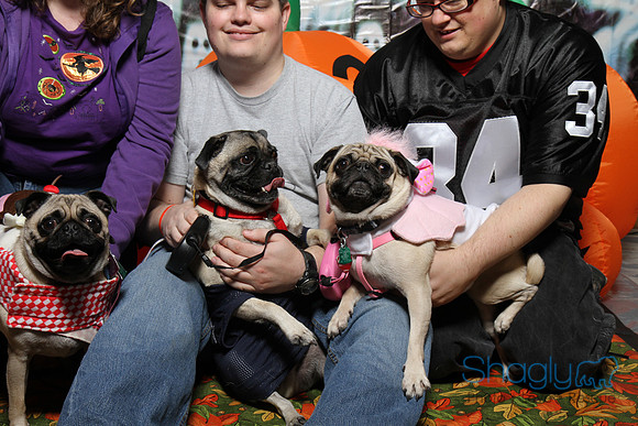 PugOWeen The Photobooth-4
