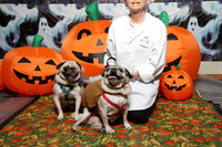 PugOWeen The Photobooth-8