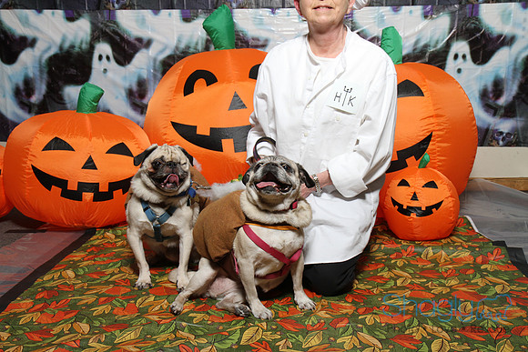 PugOWeen The Photobooth-8