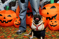 PugOWeen The Photobooth-3