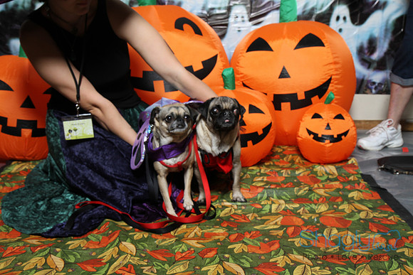 PugOWeen The Photobooth-21
