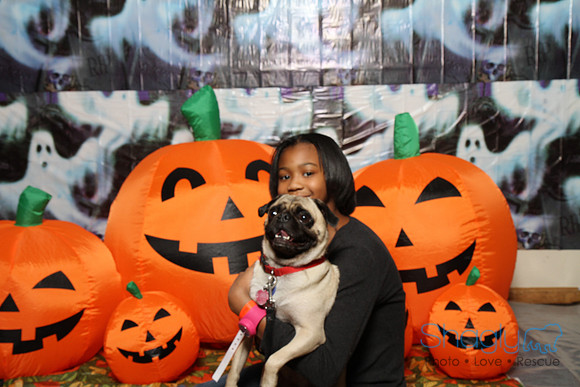 PugOWeen The Photobooth-19