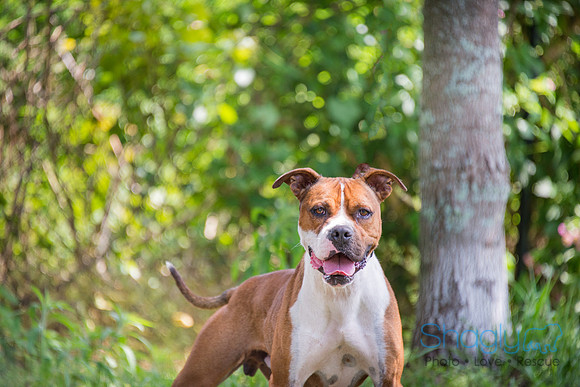 Axel