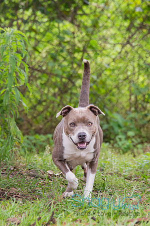 Molly