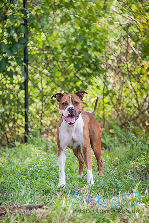 Axel