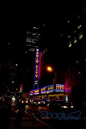 New York-4460