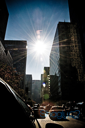 New York-4284