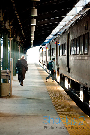 New York-4374