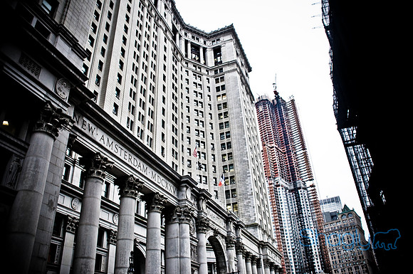 New York-5295