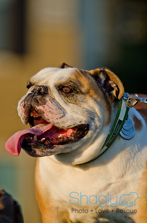 Mona Lisa and Leonardo-29