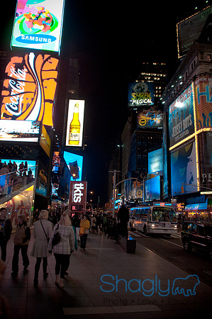 New York-4515