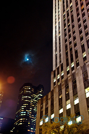 New York-4466