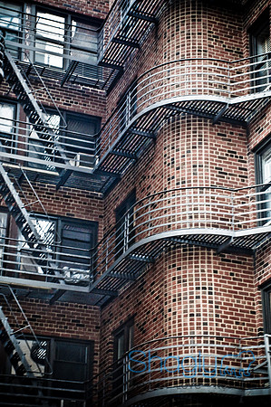 New York-5257