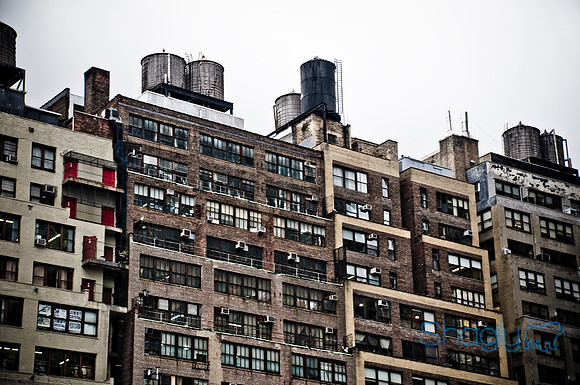 New York-5182