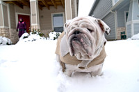 Snow Day-1164