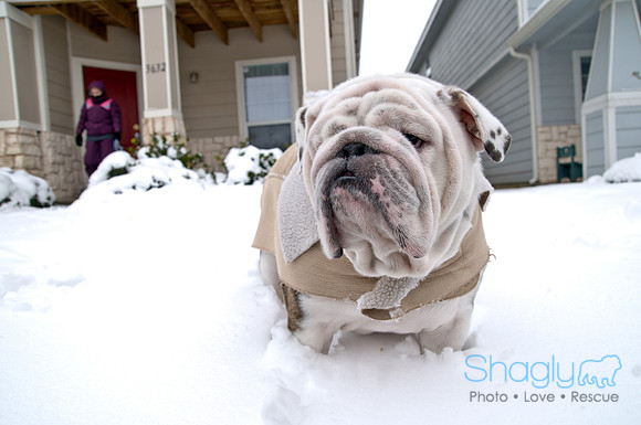 Snow Day-1164
