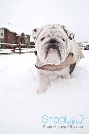 Snow Day-1289