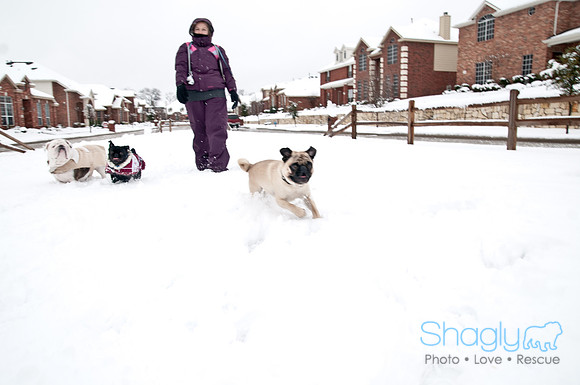 Snow Day-1251