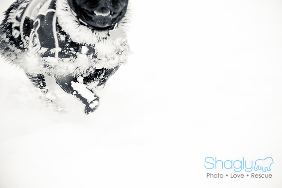 Snow Day-1046