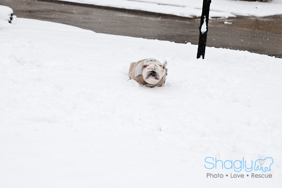 Snow Day-0903