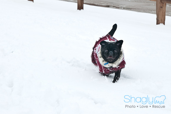 Snow Day-1202