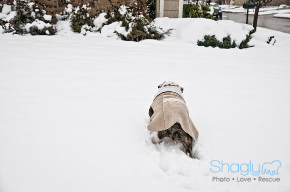 Snow Day-0874