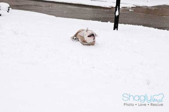 Snow Day-0902