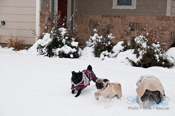 Snow Day-0878