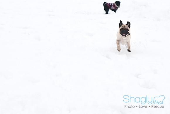 Snow Day-1258