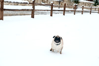Snow Day-1185