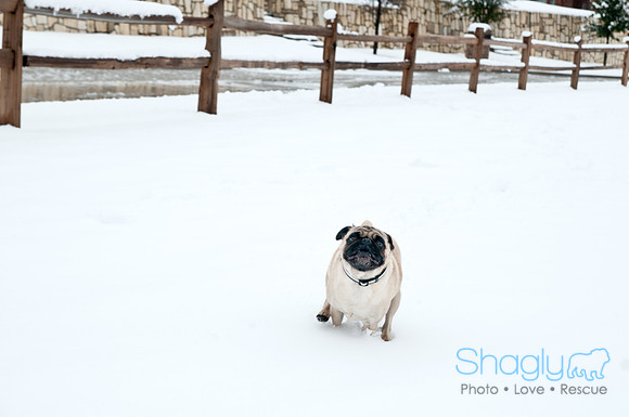 Snow Day-1185