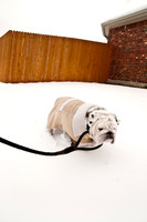 Snow Day-1175
