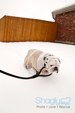 Snow Day-1175