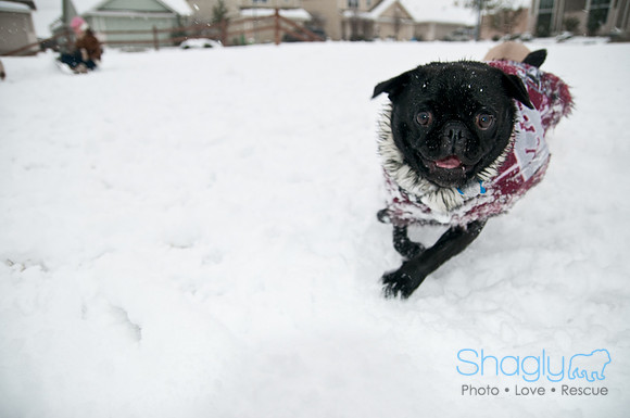Snow Day-1034