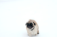 Snow Day-1187