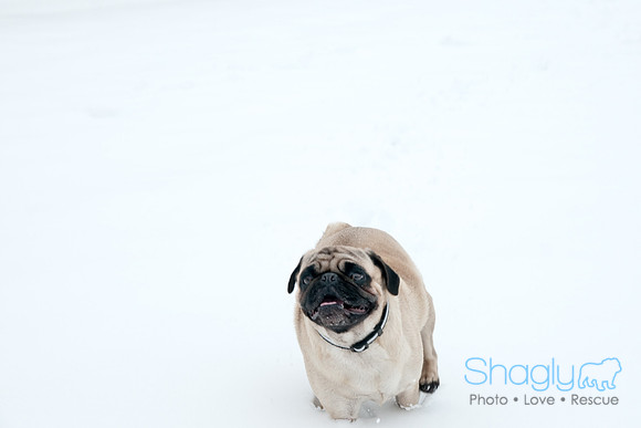 Snow Day-1187