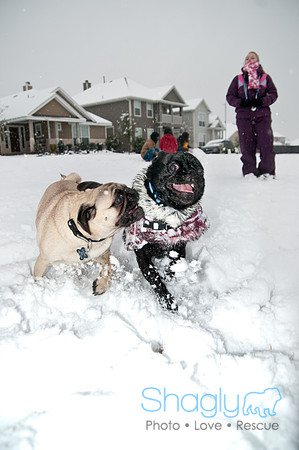 Snow Day-1015