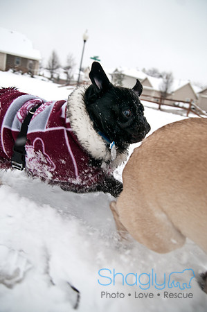 Snow Day-0929
