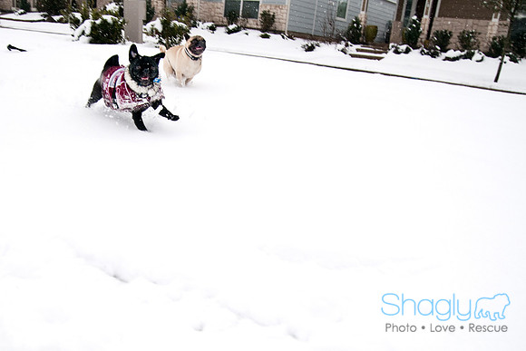 Snow Day-0967