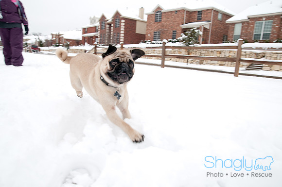 Snow Day-1253