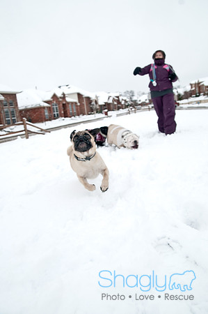 Snow Day-1233