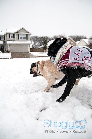 Snow Day-0939